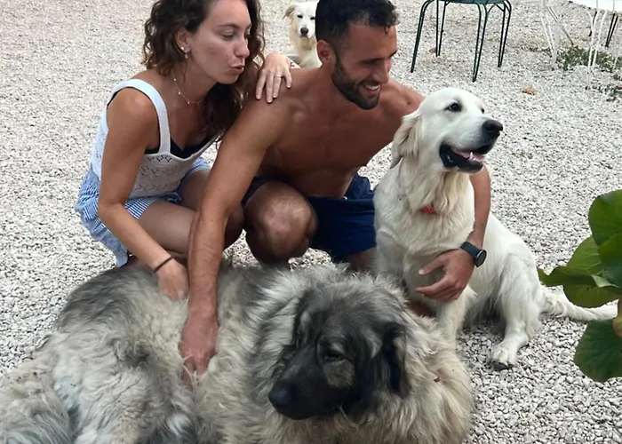 Alloggio per agriturismo Setterhouseagrihotel