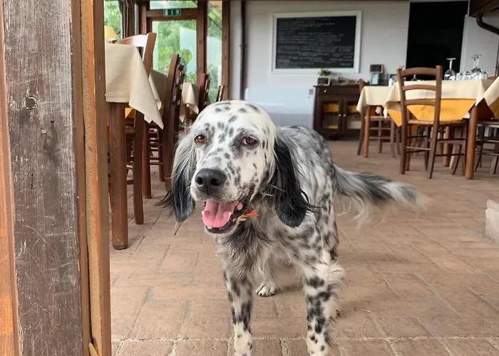 Setterhouseagrihotel